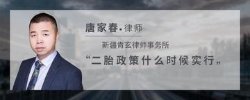 二胎政策什么时候实行