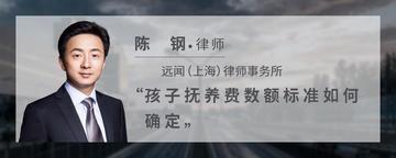 孩子抚养费数额标准如何确定