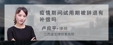 疫情期间试用期被辞退有补偿吗