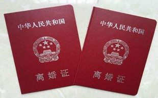 离婚诉讼