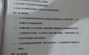 合同违约