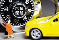 车损险