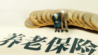 养老保险