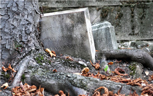 非工伤死亡