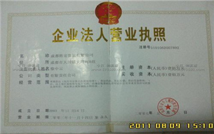 有限责任公司设立
