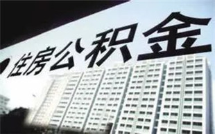 公积金缴费基数