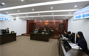 庭前审查