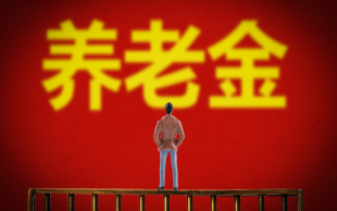 上海养老保险