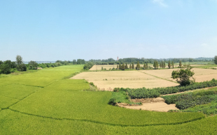 补交土地出让金