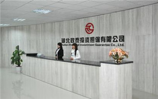 担保公司违约
