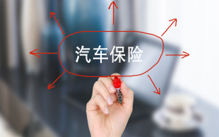 车险续保