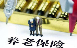 养老保险领取计算