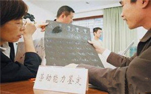劳动能力鉴定标准