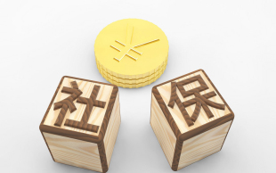 社会保险纠纷