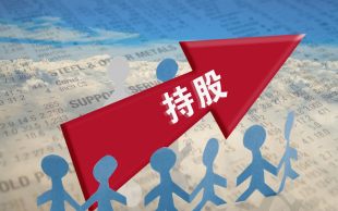 股权质押融资