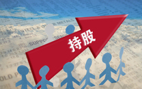 股权质押融资