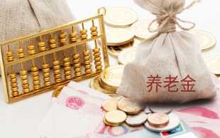 养老保险金查询