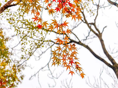 土地出让合同怎么写