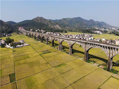 山林承包合同最长期限