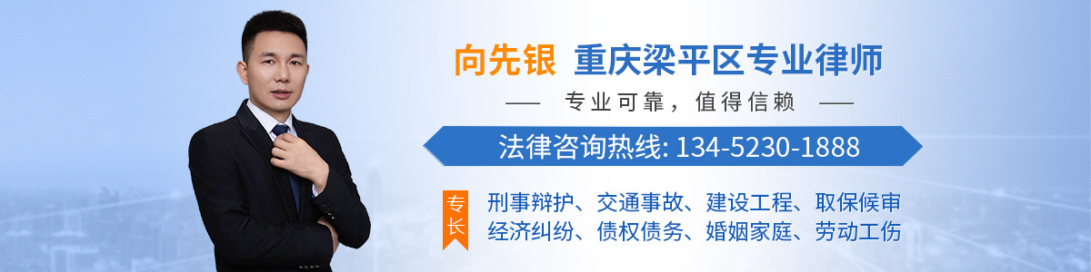 梁平区律师-向先银律师