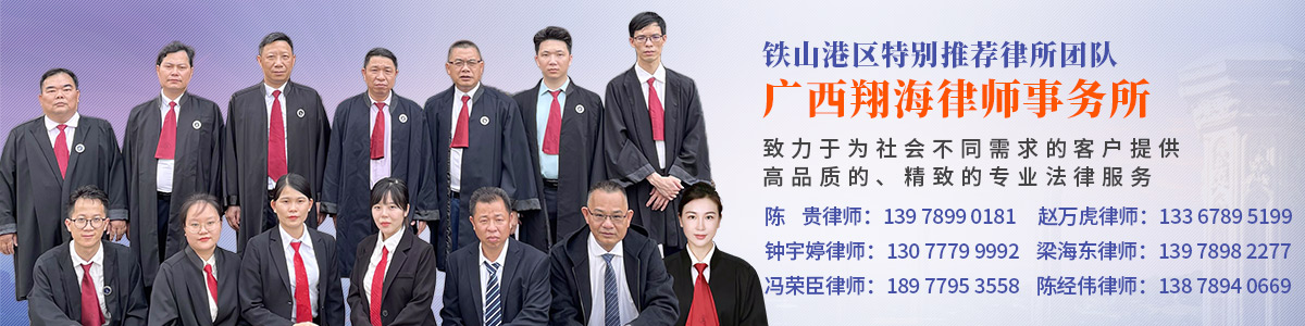 铁山港区律师-陈经纬律师