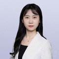 党政律师