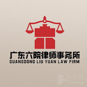 广州律师-广东六院律所律师