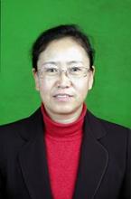 赵辰平律师