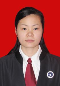 丁凤律师
