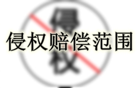 侵权赔偿范围