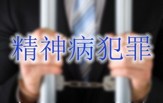精神病犯罪