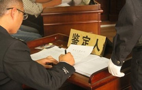 民事诉讼法规定的鉴定人