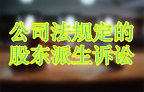 公司法规定的股东派生诉讼