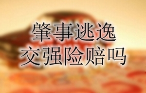 肇事逃逸交强险赔吗