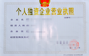 个人独资企业