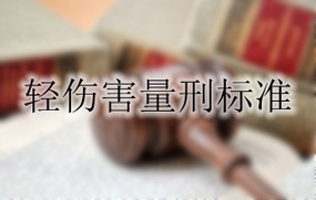 轻伤害量刑标准