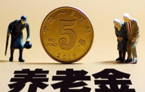 养老保险法