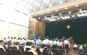 传销罪的构成要件