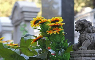 清明节是几月几日