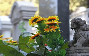 清明节是几月几日