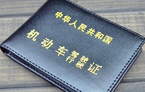 c1驾驶证年审