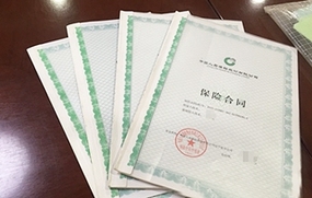 保险合同违约金