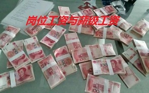 岗位工资和薪级工资有什么区别