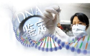 做亲子鉴定要多少钱