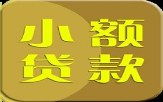 小额贷款