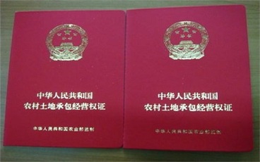 简单的土地承包合同范本
