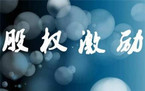 上市公司要在股权激励计划对什么进行说明