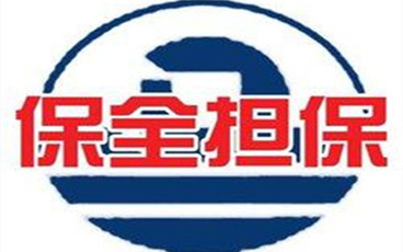 诉讼保全担保的类型有哪些