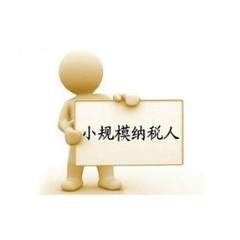 小规模纳税人报税要准备什么材料