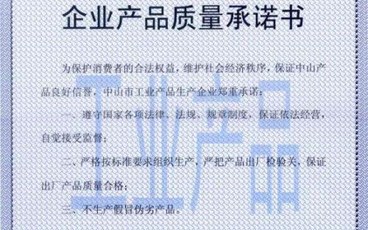 公司承诺书范文2022